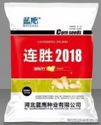 河北蓝鹰种业有限公司独家买断红轴玉米新品种～最新审定连胜2018～未来红轴品种引领者！