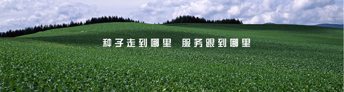 Banner-种子服务
