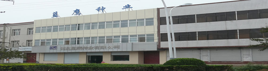 Banner-蓝鹰企业