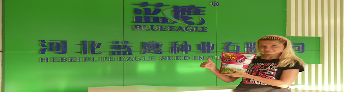 Banner-蓝鹰品牌