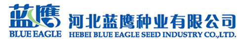 河北蓝鹰种业有限公司