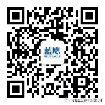 玉米种子--金阳光9号